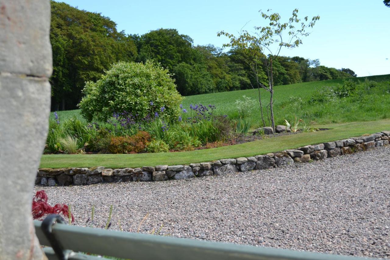 Balmungo Cottage B&B St Andrews Eksteriør billede