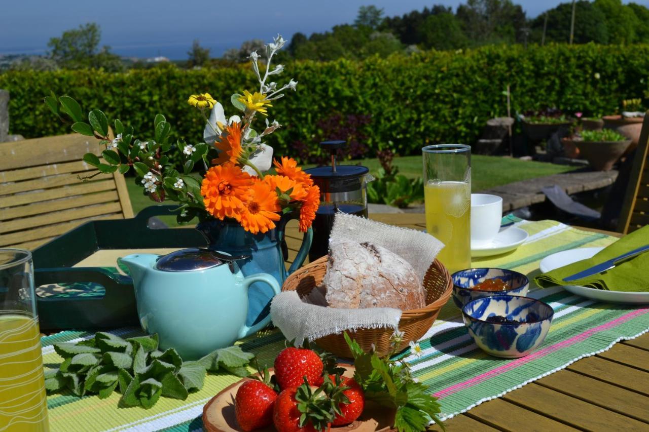 Balmungo Cottage B&B St Andrews Eksteriør billede
