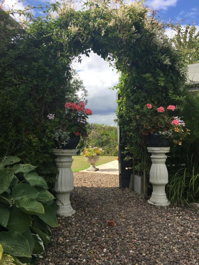 Balmungo Cottage B&B St Andrews Eksteriør billede