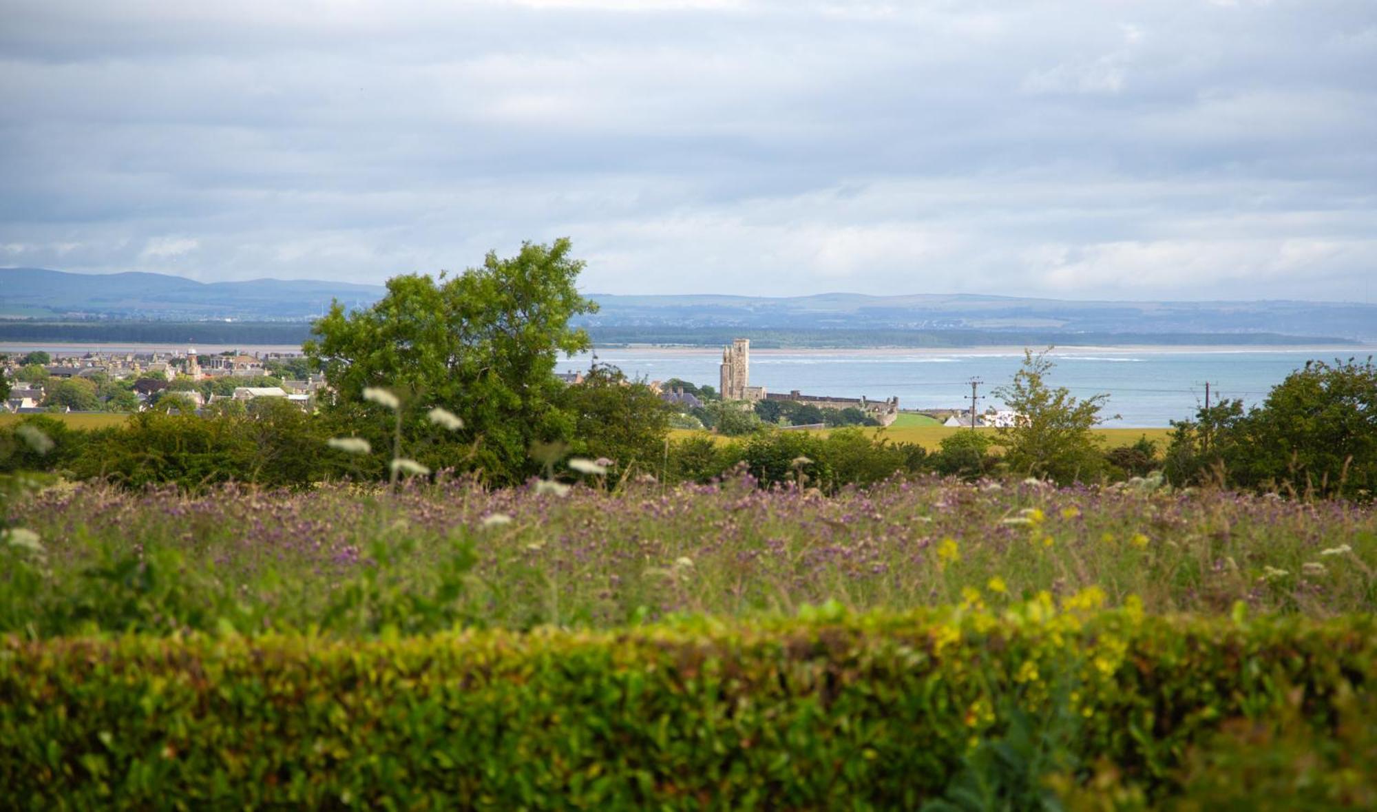 Balmungo Cottage B&B St Andrews Eksteriør billede