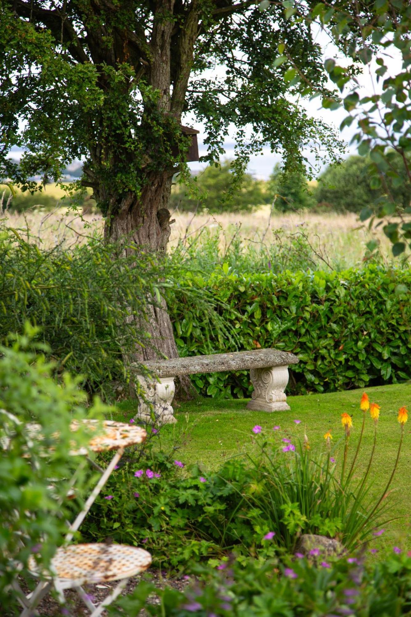 Balmungo Cottage B&B St Andrews Eksteriør billede