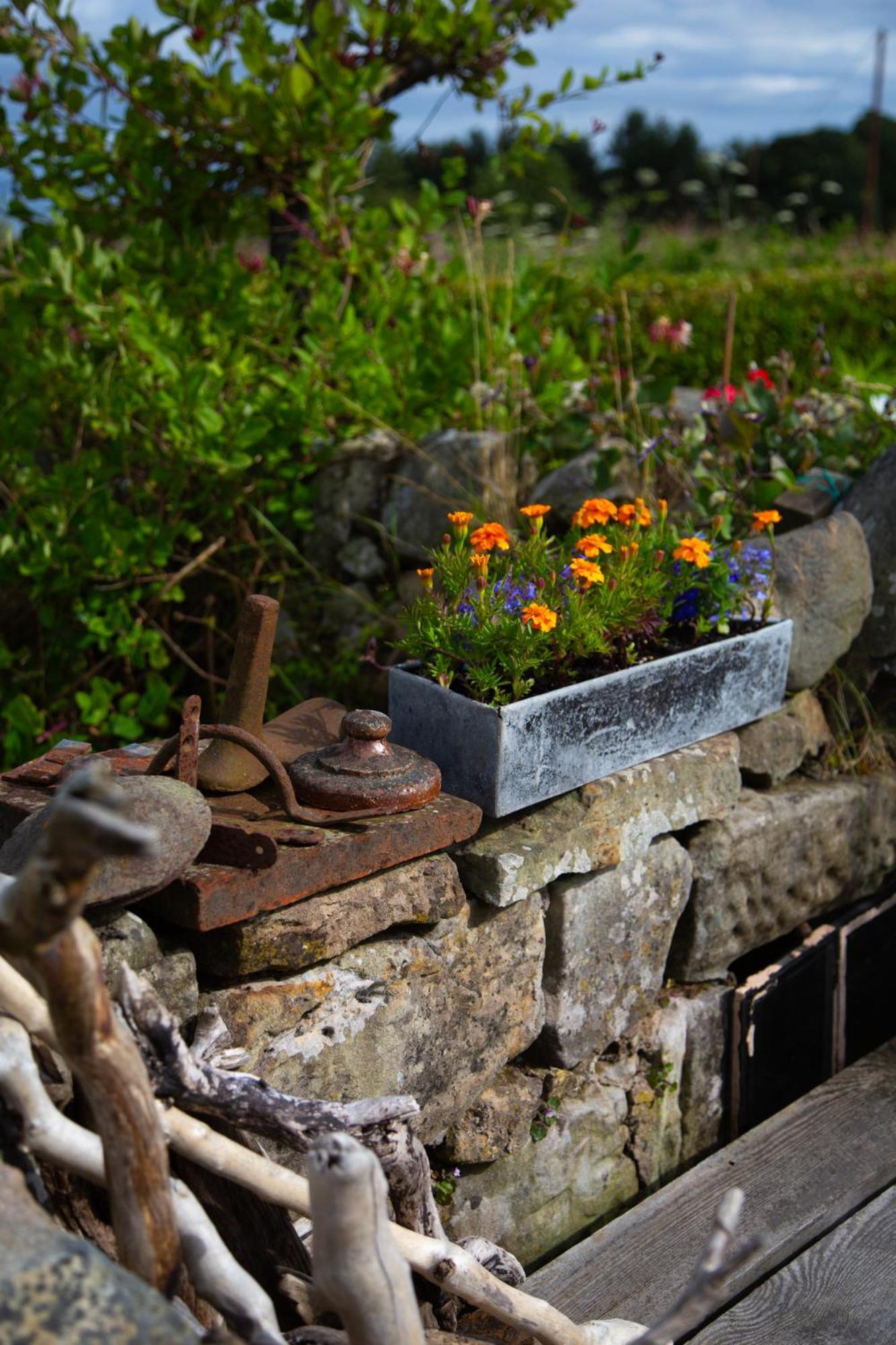 Balmungo Cottage B&B St Andrews Eksteriør billede