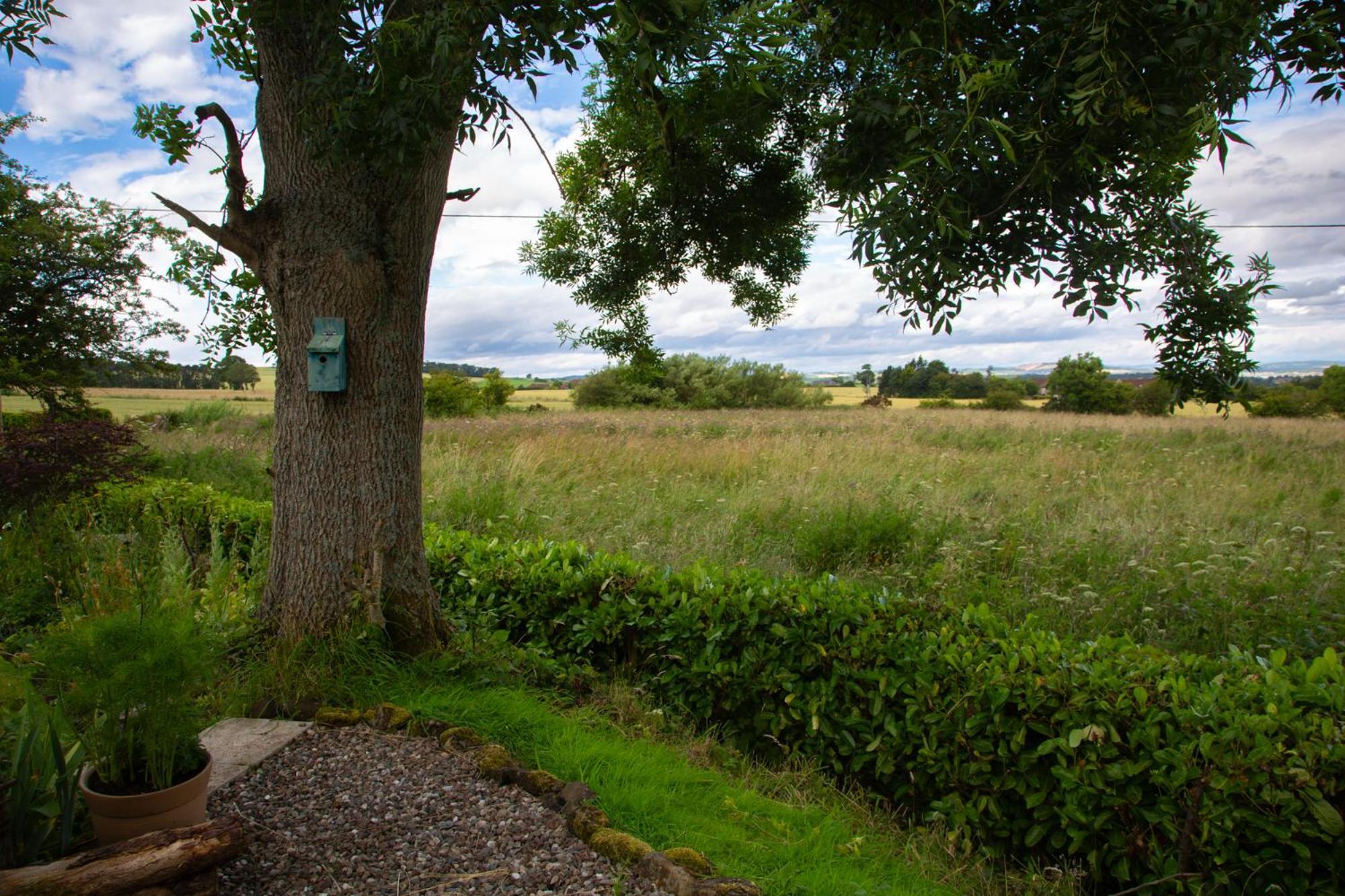 Balmungo Cottage B&B St Andrews Eksteriør billede