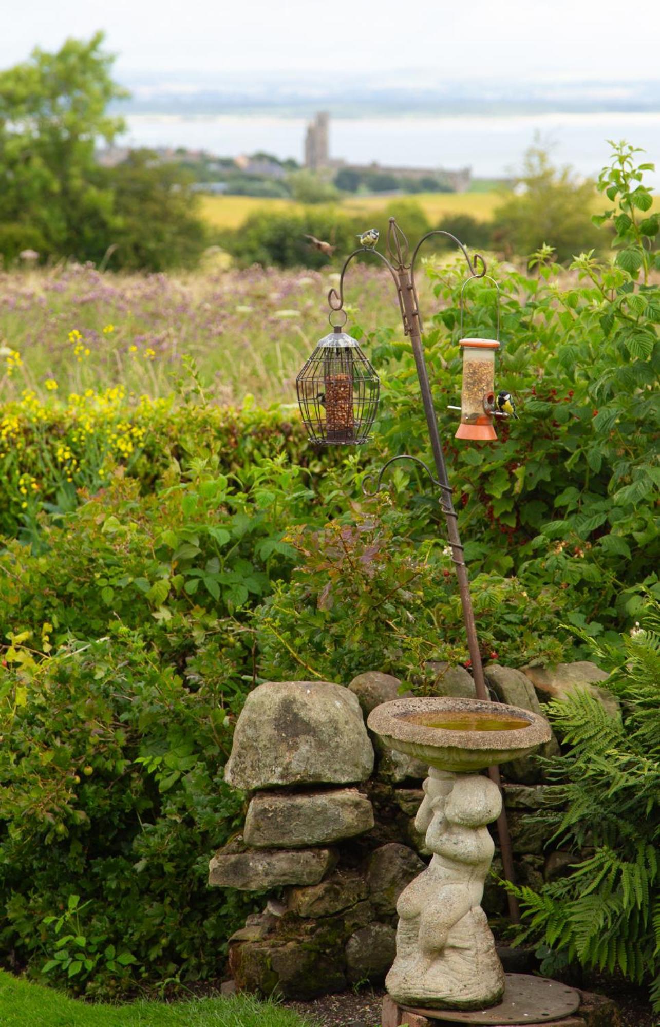 Balmungo Cottage B&B St Andrews Eksteriør billede