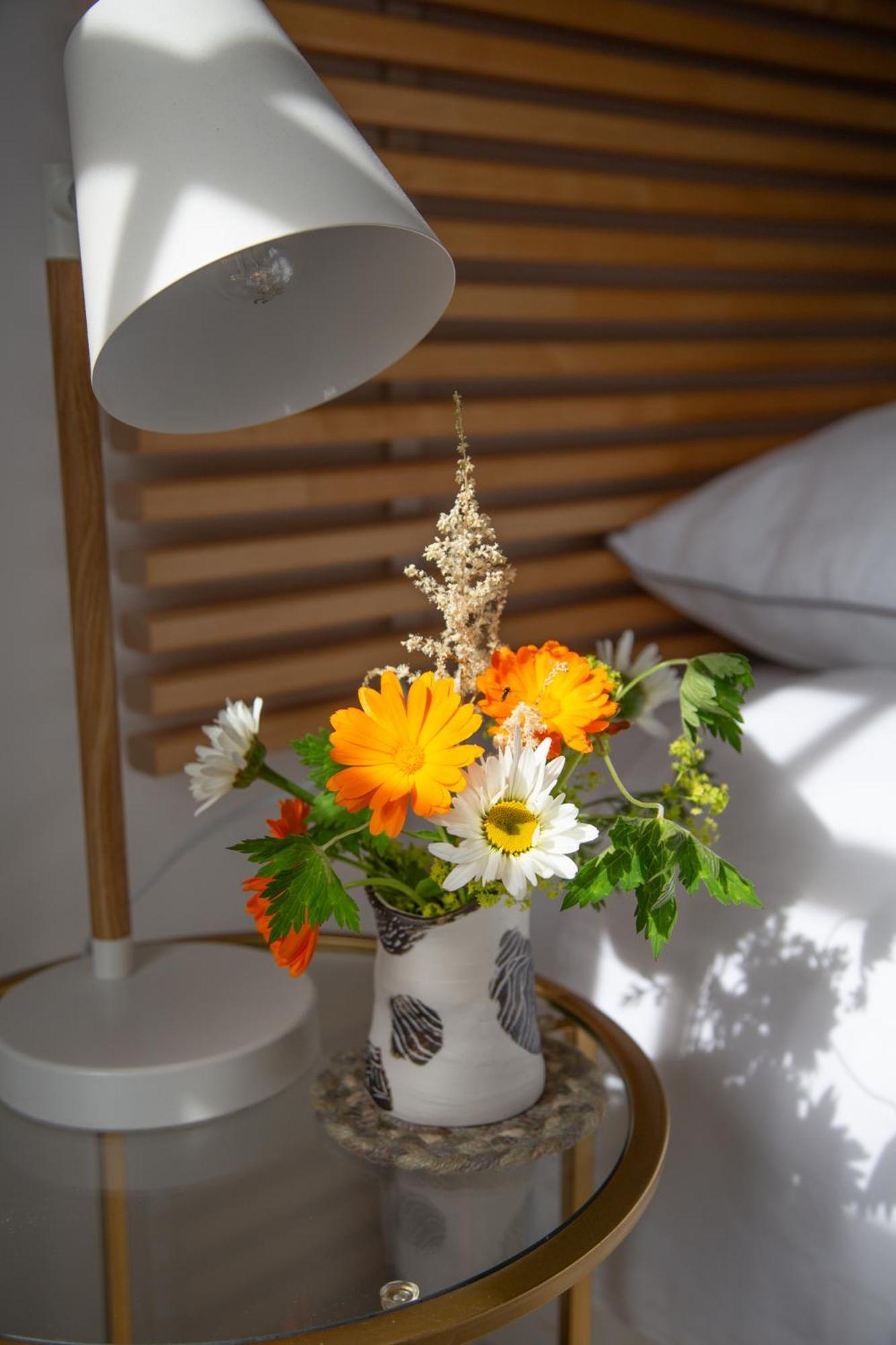 Balmungo Cottage B&B St Andrews Eksteriør billede