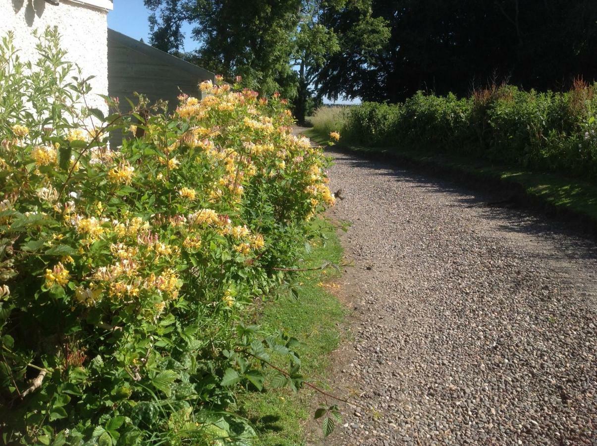 Balmungo Cottage B&B St Andrews Eksteriør billede