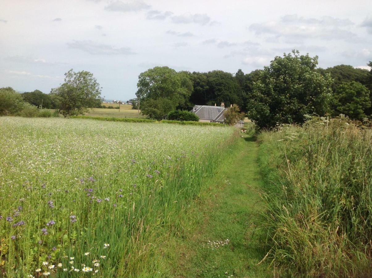 Balmungo Cottage B&B St Andrews Eksteriør billede